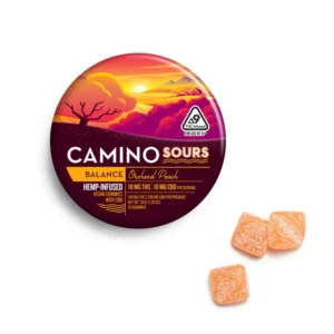 Camino Sours Orchard Peach 10