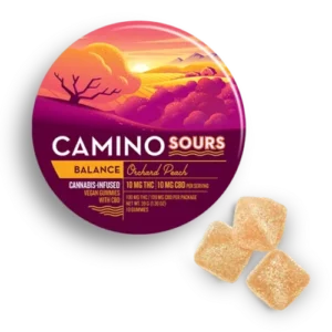 Camino Sours Orchard Peach 10